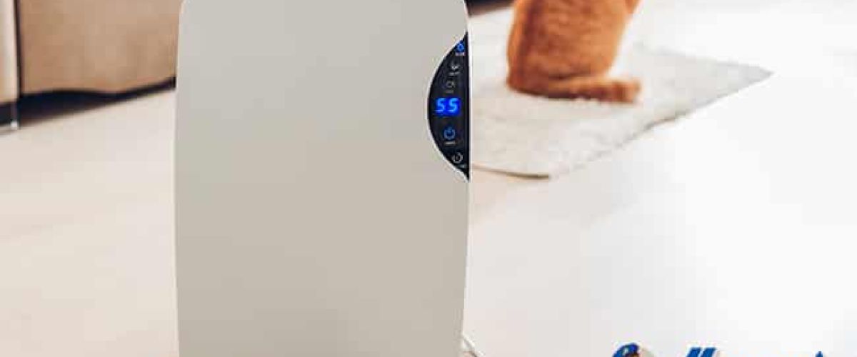 Whole-Home Air Purifiers vs. Room Air Purifiers