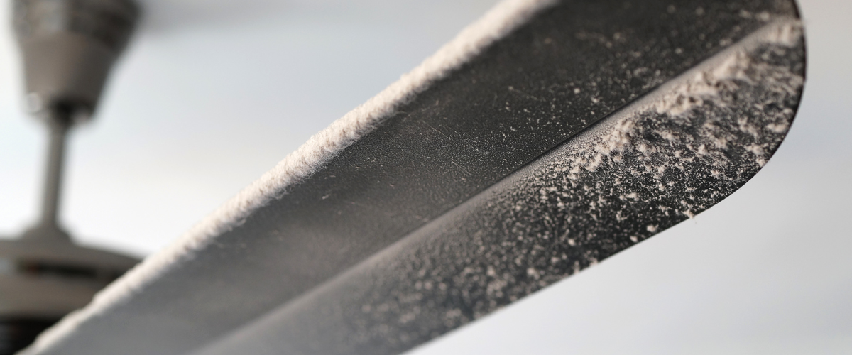 Why Your House Stays Dusty Despite Regular Cleaning